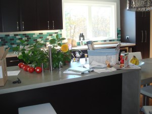 In just a glance I count 9 things that don’t belong here!